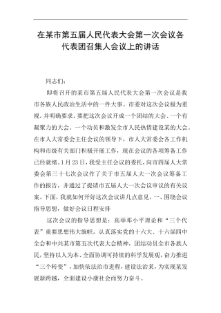 在某市第五届人民代表大会第一次会议各代表团召集人会议上的讲话