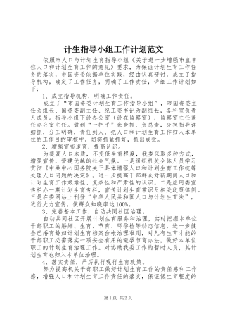 2024年计生指导小组工作计划范文