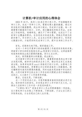 2024年计算机审计应用的心得体会