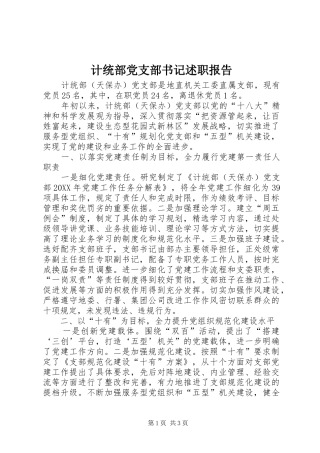 2024年计统部党支部书记述职报告