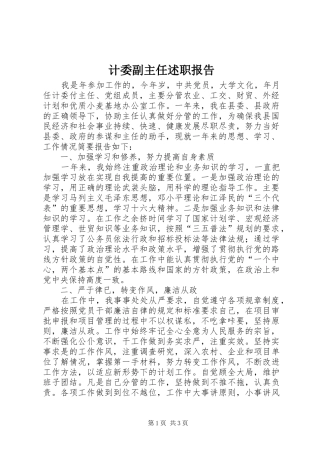 2024年计委副主任述职报告