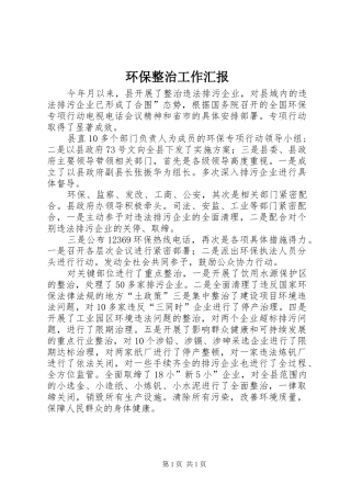 2024年环保整治工作汇报