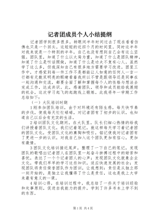 2024年记者团成员个人小结提纲