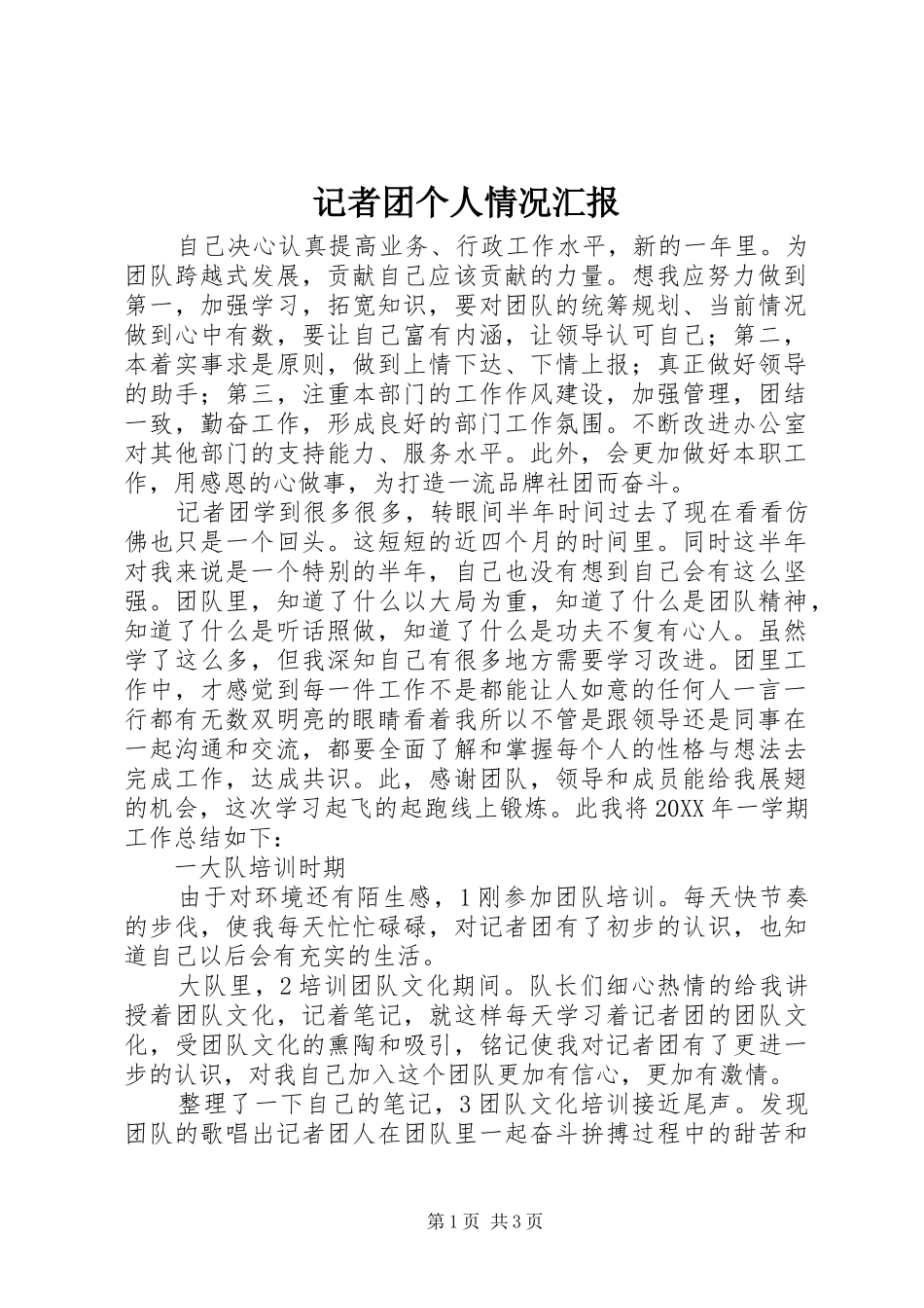 2024年记者团个人情况汇报_第1页