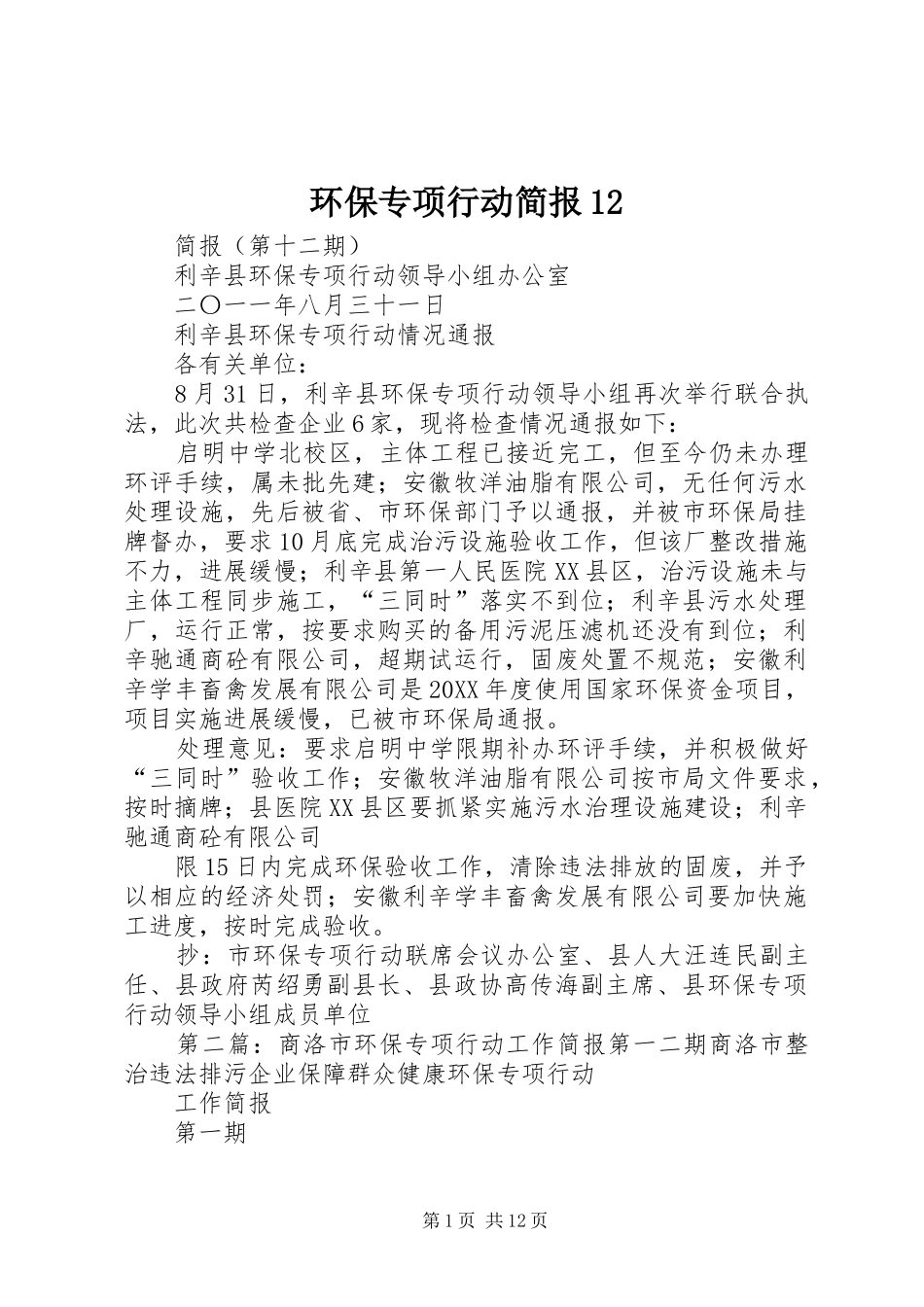 2024年环保专项行动简报_第1页