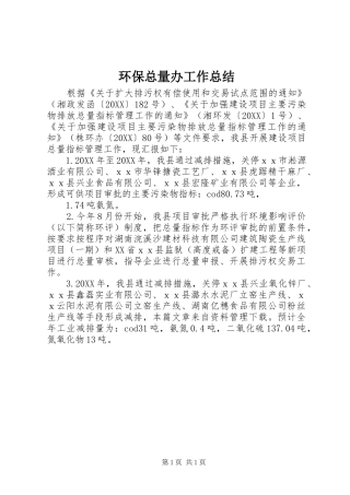 2024年环保总量办工作总结