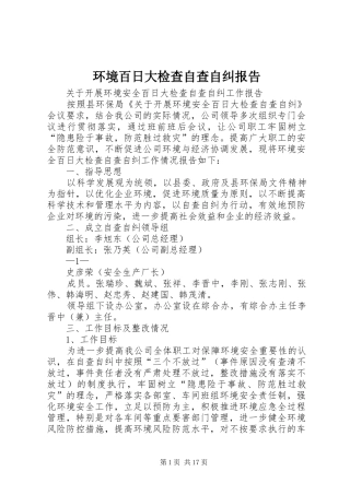 2024年环境百日大检查自查自纠报告