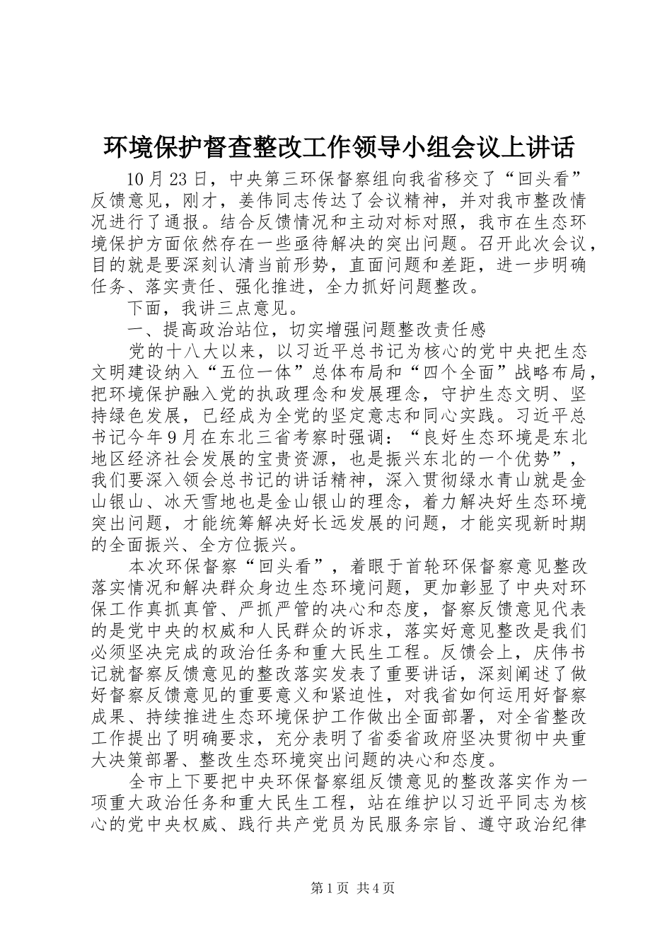 2024年环境保护督查整改工作领导小组会议上致辞_第1页