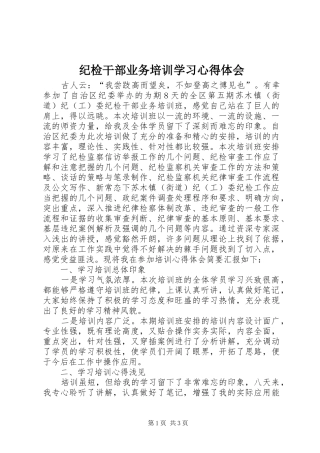 2024年纪检干部业务培训学习心得体会