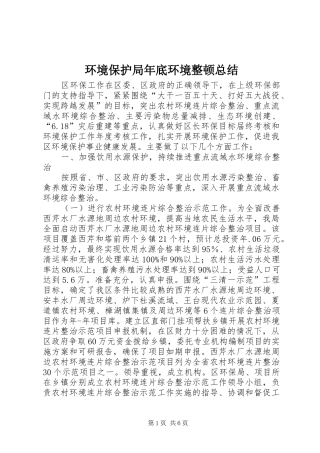 2024年环境保护局年底环境整顿总结
