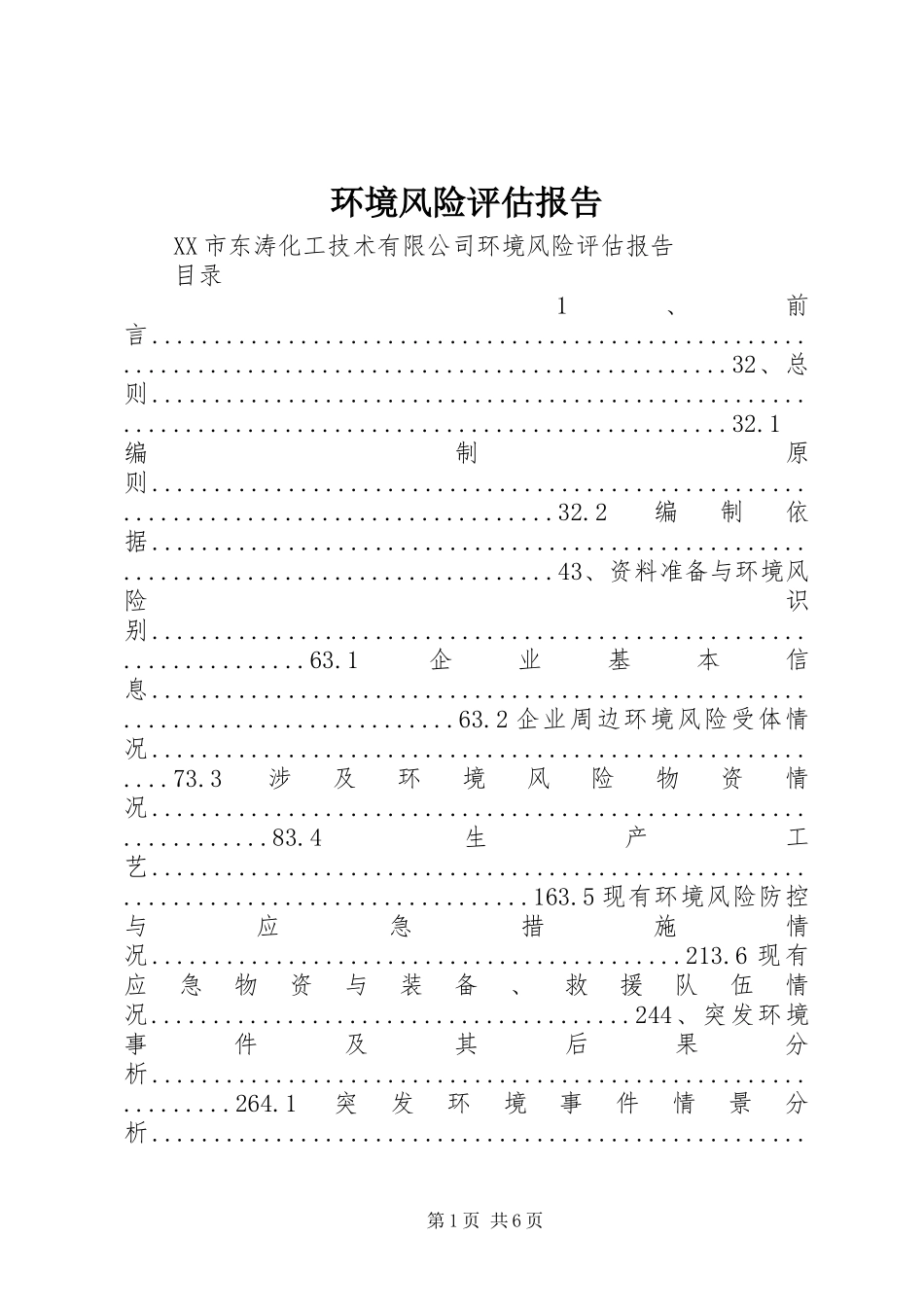 2024年环境风险评估报告_第1页