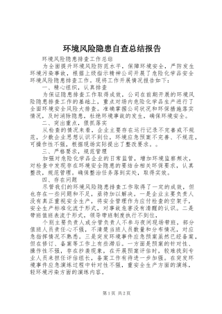 2024年环境风险隐患自查总结报告