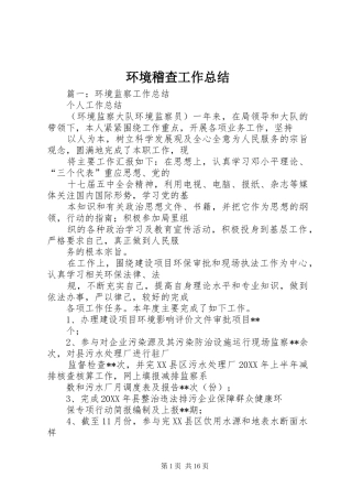 2024年环境稽查工作总结