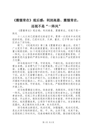 2024年震慑常在观后感利剑高悬震慑常在，巡视不是一阵风