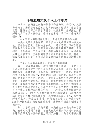 2024年环境监察大队个人工作总结