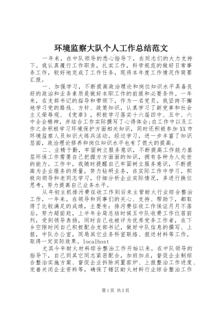 2024年环境监察大队个人工作总结范文