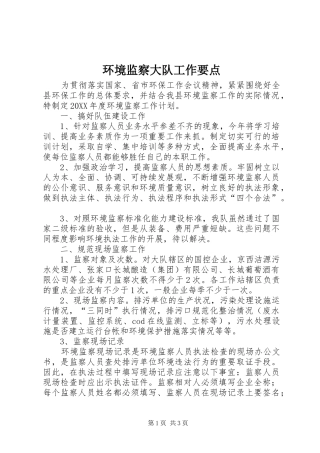 2024年环境监察大队工作要点
