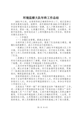 2024年环境监察大队年终工作总结