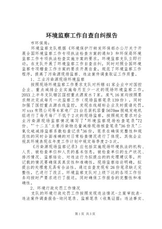 2024年环境监察工作自查自纠报告