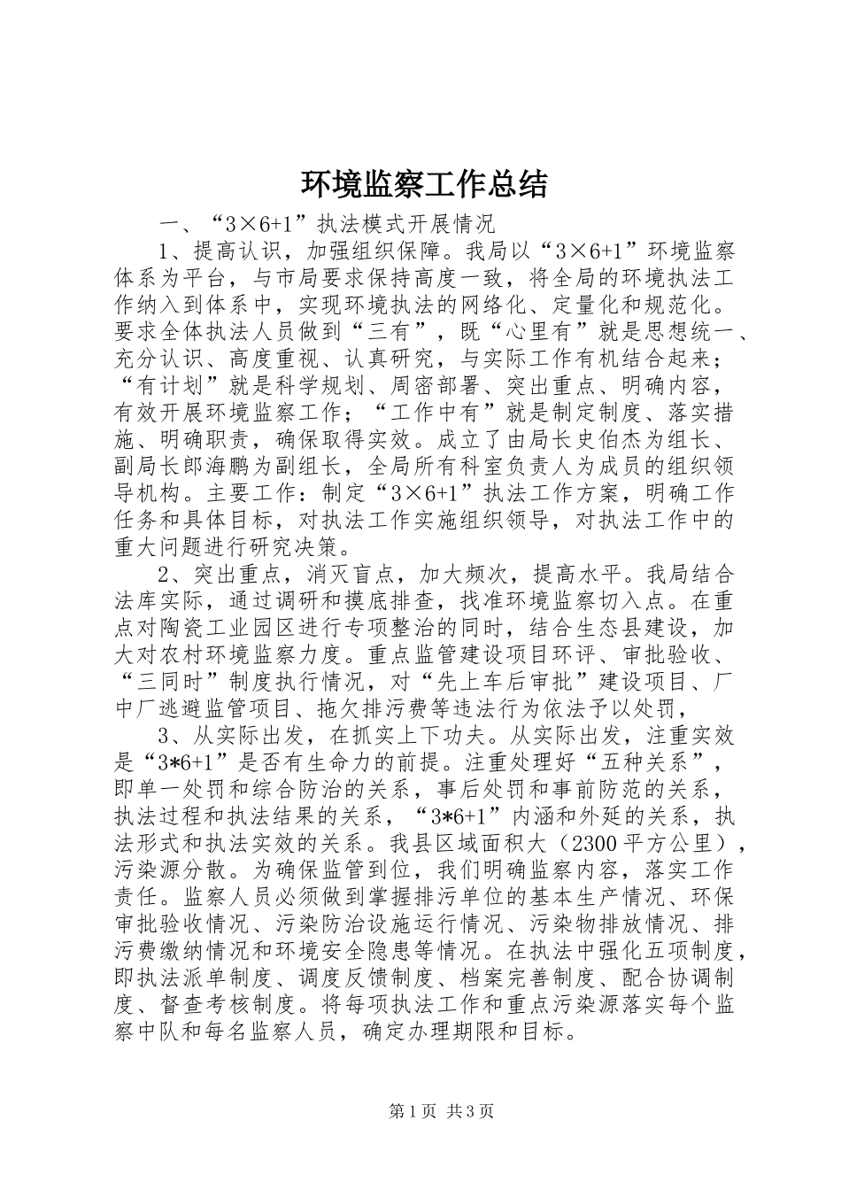 2024年环境监察工作总结_第1页
