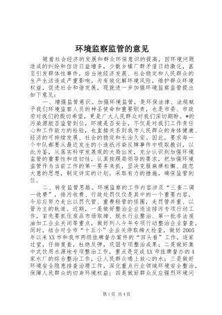 2024年环境监察监管的意见