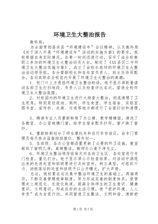 2024年环境卫生大整治报告