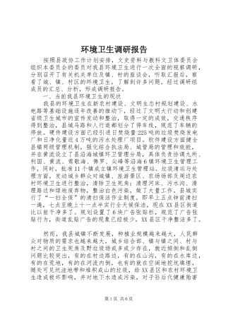 2024年环境卫生调研报告