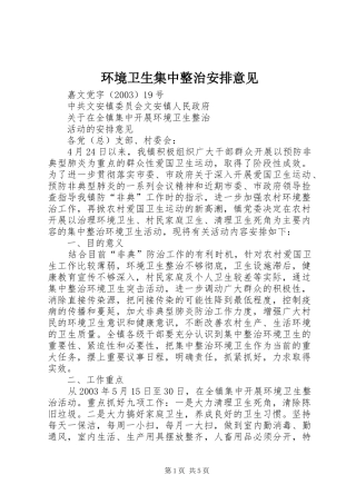 2024年环境卫生集中整治安排意见