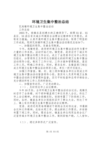2024年环境卫生集中整治总结