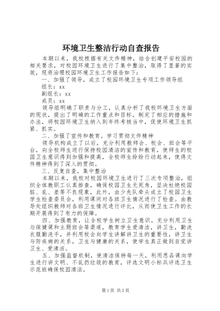 2024年环境卫生整洁行动自查报告