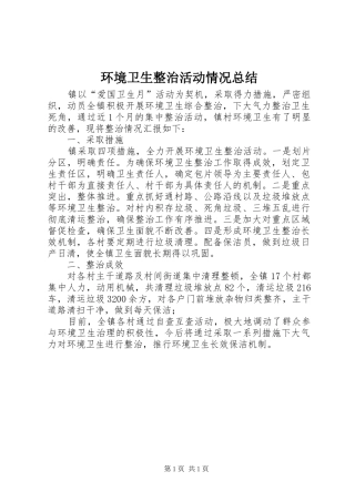 2024年环境卫生整治活动情况总结