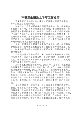 2024年环境卫生整治上半年工作总结