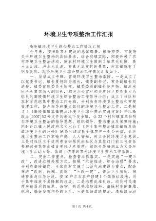 2024年环境卫生专项整治工作汇报