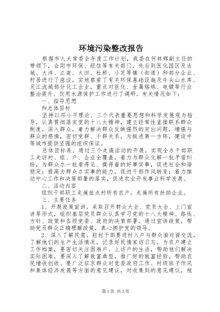 2024年环境污染整改报告