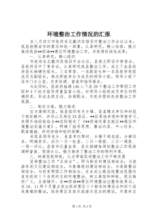 2024年环境整治工作情况的汇报