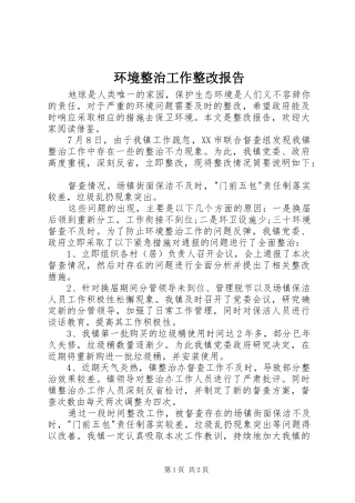 2024年环境整治工作整改报告
