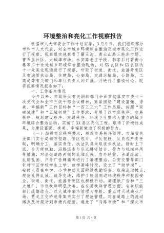 2024年环境整治和亮化工作视察报告