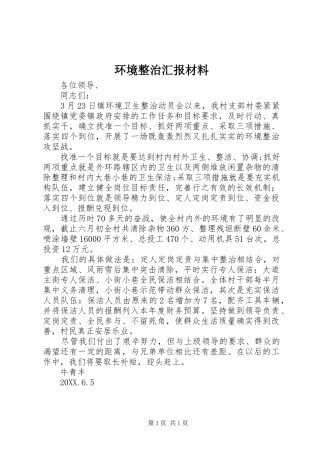 2024年环境整治汇报材料