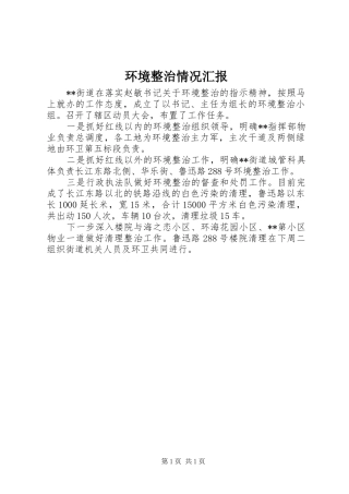 2024年环境整治情况汇报