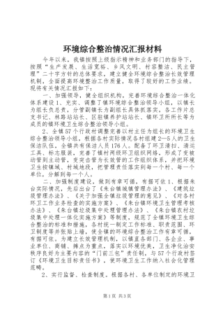 2024年环境综合整治情况汇报材料