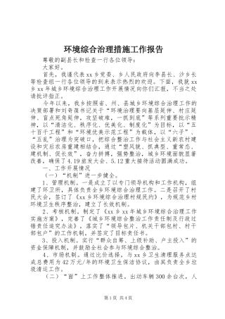 2024年环境综合治理措施工作报告