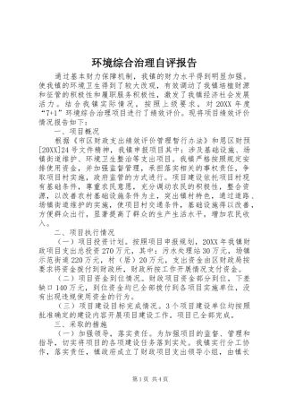 2024年环境综合治理自评报告