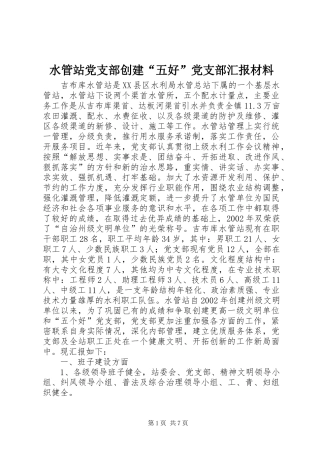 2024年水管站党支部创建五好党支部汇报材料