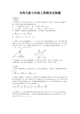 北师大版七年级上册期末压轴题