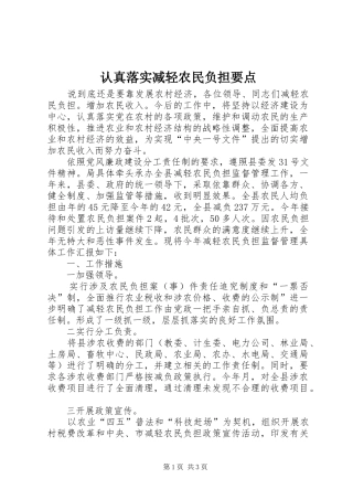 2024年认真落实减轻农民负担要点