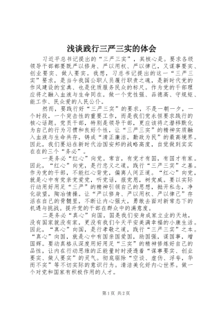 2024年浅谈践行三严三实的体会