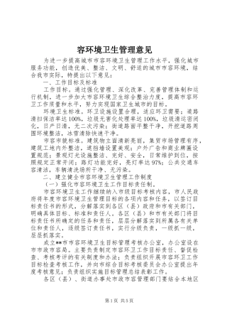 2024年容环境卫生管理意见