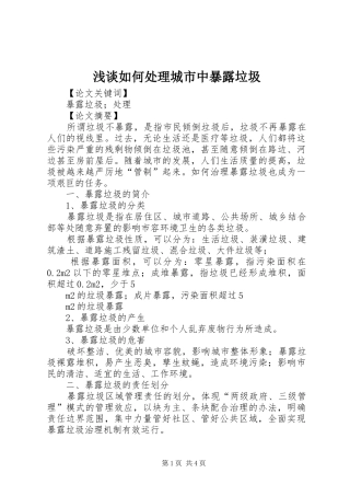 2024年浅谈如何处理城市中暴露垃圾