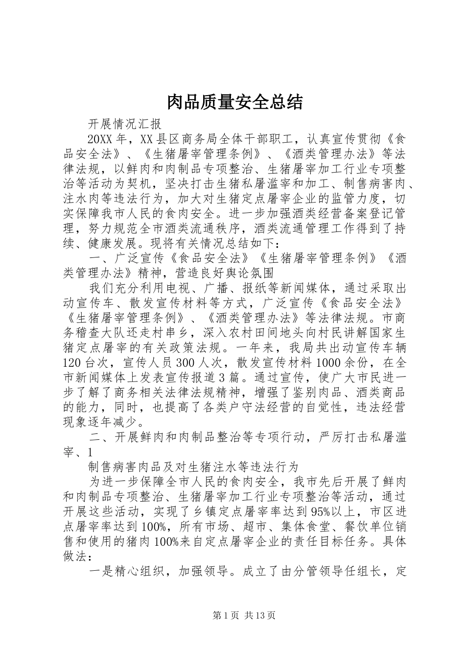 2024年肉品质量安全总结_第1页