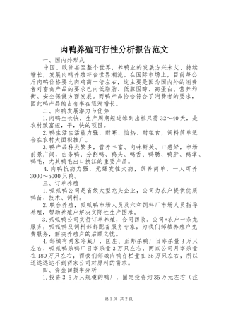 2024年肉鸭养殖可行性分析报告范文